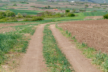 Wall Mural - Dirt Road in The Countryside