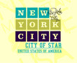 © a1vector - New york city embroidery graphic design vector art