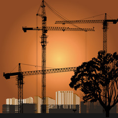 Wall Mural - hoisting three cranes above buildings at sunset