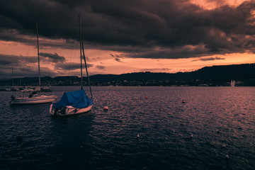 Canvas Print - sunset in the harbor at the lake zürich in switzerland
