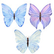 Watercolor colorful butterflies, isolated on white background, summer illustration