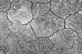 Fototapeta Nowy Jork - The surface is gray or arid land, the soil surface is cracked from arid agriculture on global warming.