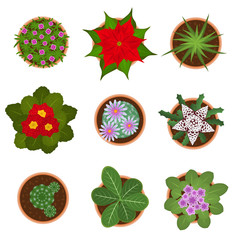 Sticker - Cartoon Color Home Plant Top View Icon Set. Vector