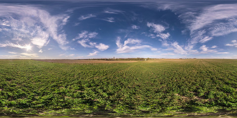 Wall Mural - full seamless spherical hdri panorama 360 degrees angle view on among fields in spring evening with 