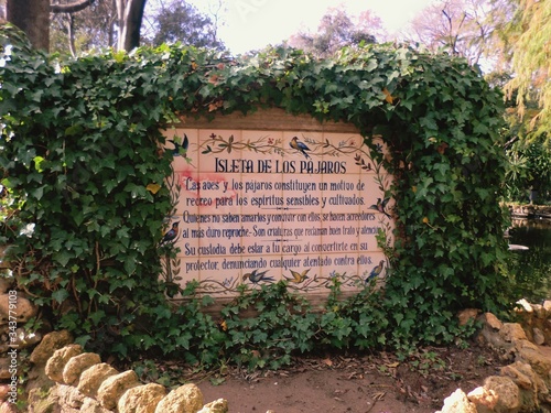 Fotografía Information Sign Amidst Ivies At Park