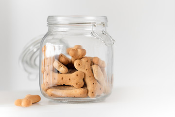 dog cookies in a jar on a light background