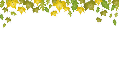 Wall Mural - autumn green and yellow falling leaves on white background vector illustration EPS10