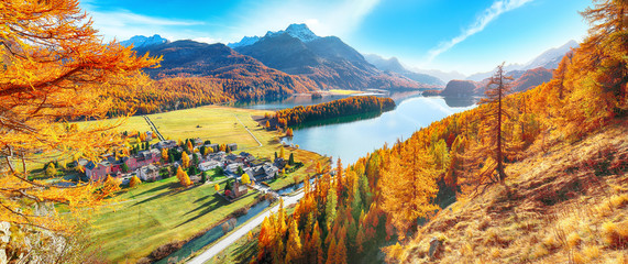 Wall Mural - Stunning autumn scene over Sils im Engadin (Segl) village and Sils lake(Silsersee)