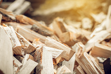 Wall Mural - Village life. A pile of chopped firewood