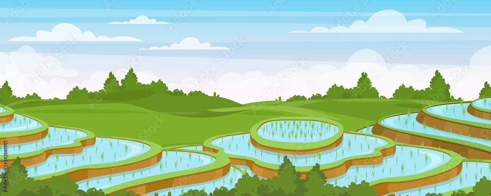 Rice field landscape vector illustration. Cartoon flat rural farmland ...