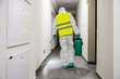 © Dusan Petkovic - Rear view of worker in sterile suit and vest sterilizing hall of a building from corona virus / covid 19.