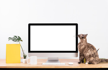 Mockup Blank screen desktop computer and decorations with cat animal on wood table and white wall background.