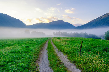 Poster - Tranquil foggy morning at the countryside.