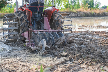 Farmers are driving tractors to plows the mud ground in the fields rice.