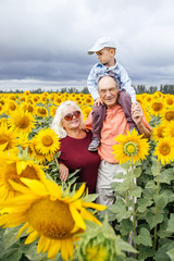 Wall Mural - Grandparents spend time with their grandson in a field of sunflowers.