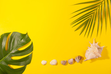 Wall Mural - Top view on monstera and palm leaves with sea shells on yellow background. Concept of beach holiday, sea tour, warm sunny summer. Advertising space