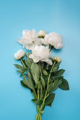 Wall Mural - Bouquet of white peonies on a blue background.