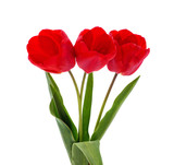 Fototapeta Tulipany - Bouquet of red tulips.