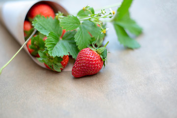 Red straberries with green leaves, close up