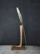 © fStop - White flower stem leaning against wooden pedestal