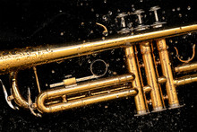 Close-up Of Trumpet Splashed With Water
