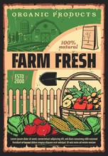 Farming And Agriculture, Farmer Harvest Organic Vegetables And Fruits, Vector Vintage Poster. Farmland Gardening And Agronomy Field, Natural Food And Bio Farm Products