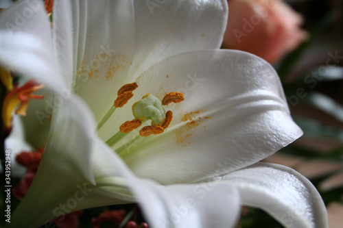 Photographie Liliens in einem Straußarrangement