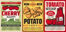 Farm Products From Tomatoes And Potatoes, Vector Retro Posters. Natural Organic Cherry Tomatoes, Ketchup And Potato Chips, Bio Farmland And Agriculture Vegetables Food