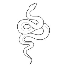 Hand Drawing Outline Snake. Tattoo Snake For Henna Drawing And Tattoo Template. Vector Illustration