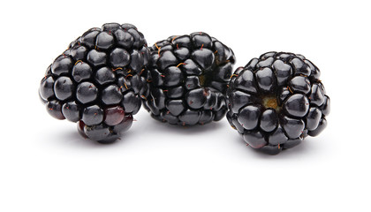 Wall Mural - Blackberry Isolated on White Background