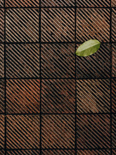 Closeup Of Terracotta Tile With Lone Leaf
