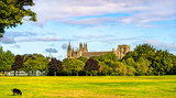 Fototapeta Nowy Jork - View of Peterborough Cathedral in England