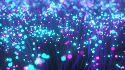 Wall Mural - Fiber optic wires with flashing signals. Digital data transmission via fiber optic cable. Bouquet of colored optical fibers with bokeh. Technology concept. Seamless loop 3d render