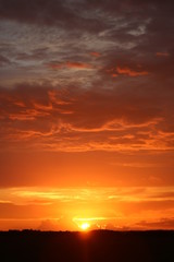 Poster - The sun setting over the Everglades