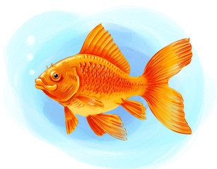 Golden fish in blue water. Digital illustration