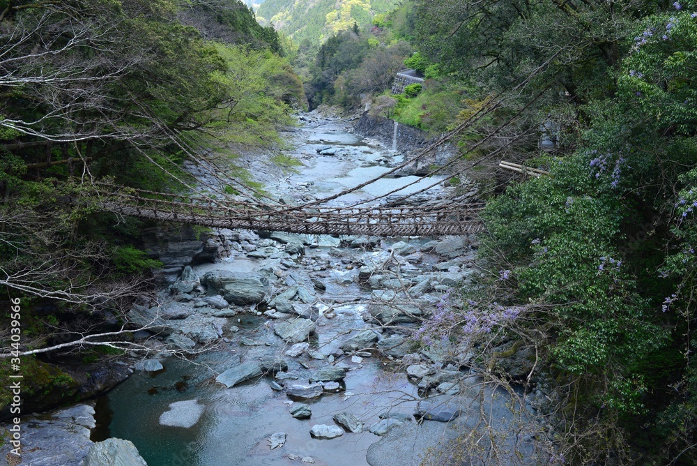Japan's Shikoku region Is a bridge made of wood in Tokushima Prefecture Iya no Kazura Bridge tourist attraction
 - obrazy, fototapety, plakaty 