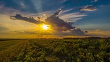 Breathtaking Midwestern Sunset With Flocks Of Birds Time Lapse, Timelapse, Time-Lapse, 4K