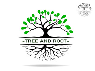 Canvas Print - Trees and root with green leaves look beautiful and refreshing.Tree and roots LOGO style.