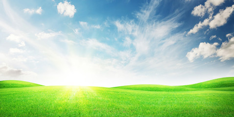 green grass field and clear blue sky