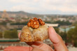 Closeup Hand Holding a Walnut Baklava Pastry with Blurry City View in the Backdrop