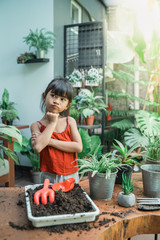 Wall Mural - little girl gardening activity at home during holiday