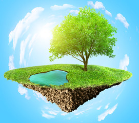 Wall Mural - grass island with tree and pond, nature concept