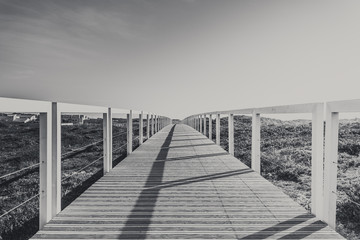 Wall Mural - Ecovia Litoral Norte (North Coast Ecoway) wooden boardwalk in Esposende, Portugal.