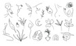 Woman Line Art Clipart.  Female Line Drawing Illustrations. Nude and Botanical Line Artwork.