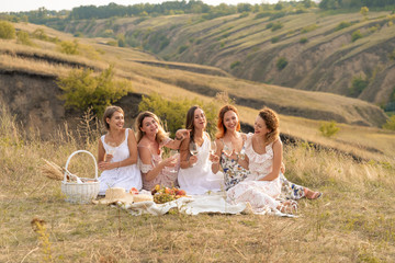 Wall Mural - The company of gorgeous female friends having fun, drink wine, and enjoy hills landscape picnic