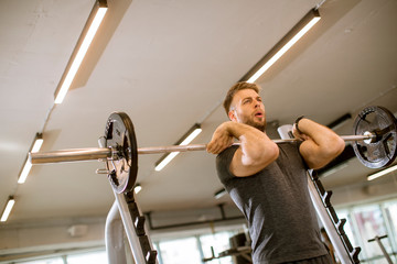 Wall Mural - Young man working out with barbells in the gym