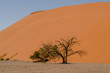 Sanddüne, Namibia 