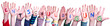 Children Hands Building Colorful German Word Entschuldigung Means Apology. White Isolated Background