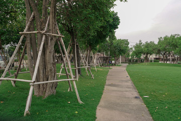 Canvas Print - trees in the park