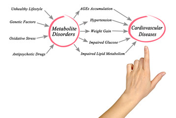 Wall Mural - From  Metabolite Disorders to Cardiovascular Diseases